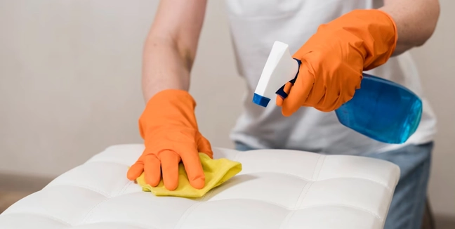 Sofa & Carpet Upholstery Cleaning: Eliminating Dust Mites, Stains & Odors